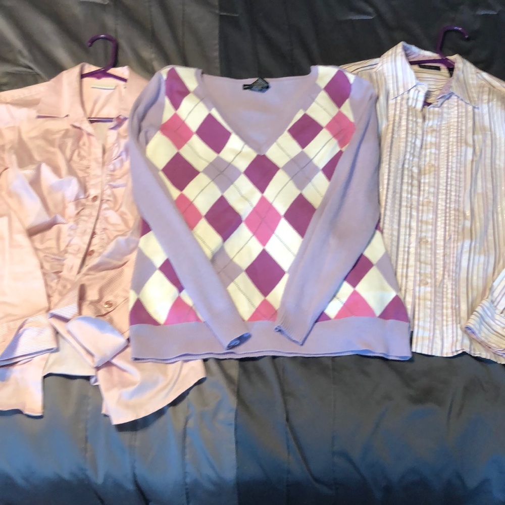 Bundle: Raspberry Color Tops - image 1